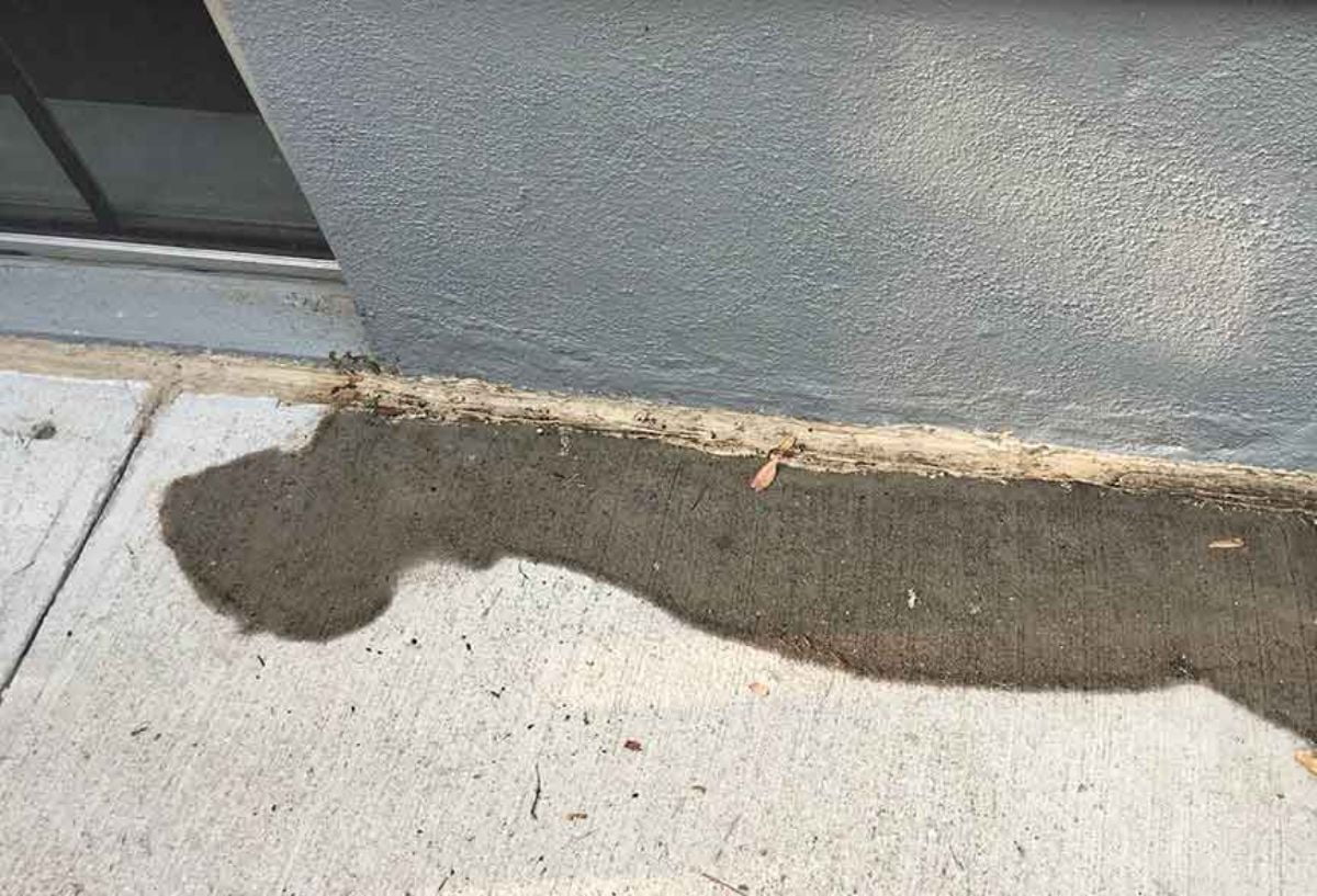 Slab Leak Protection Services | Slab Leak Detection Specialist